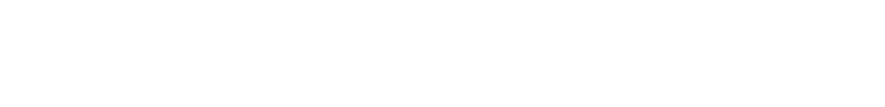 LockDownSoft